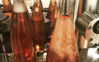 2017 Rosé & 2016 Cabernet Sauvignon Bottling