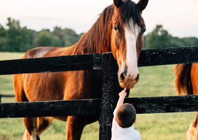 Child and Horse