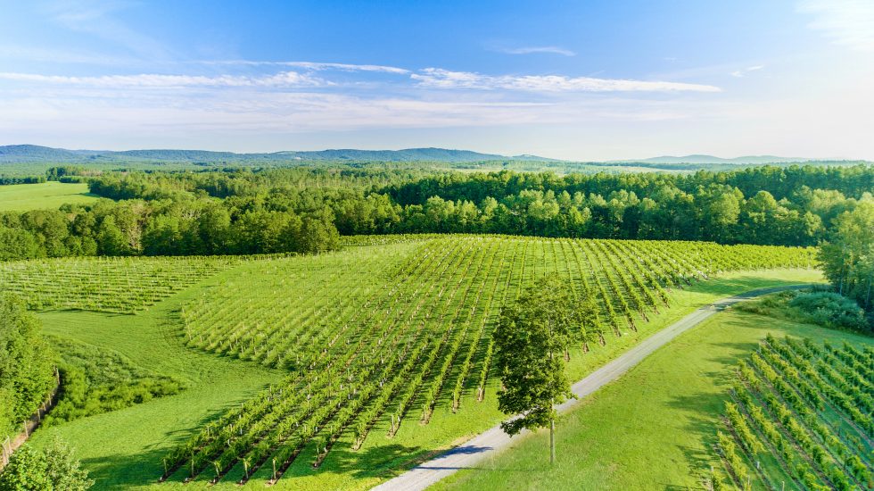 Established in 2018, our Tasting Room & Taphouse brings a new dimension