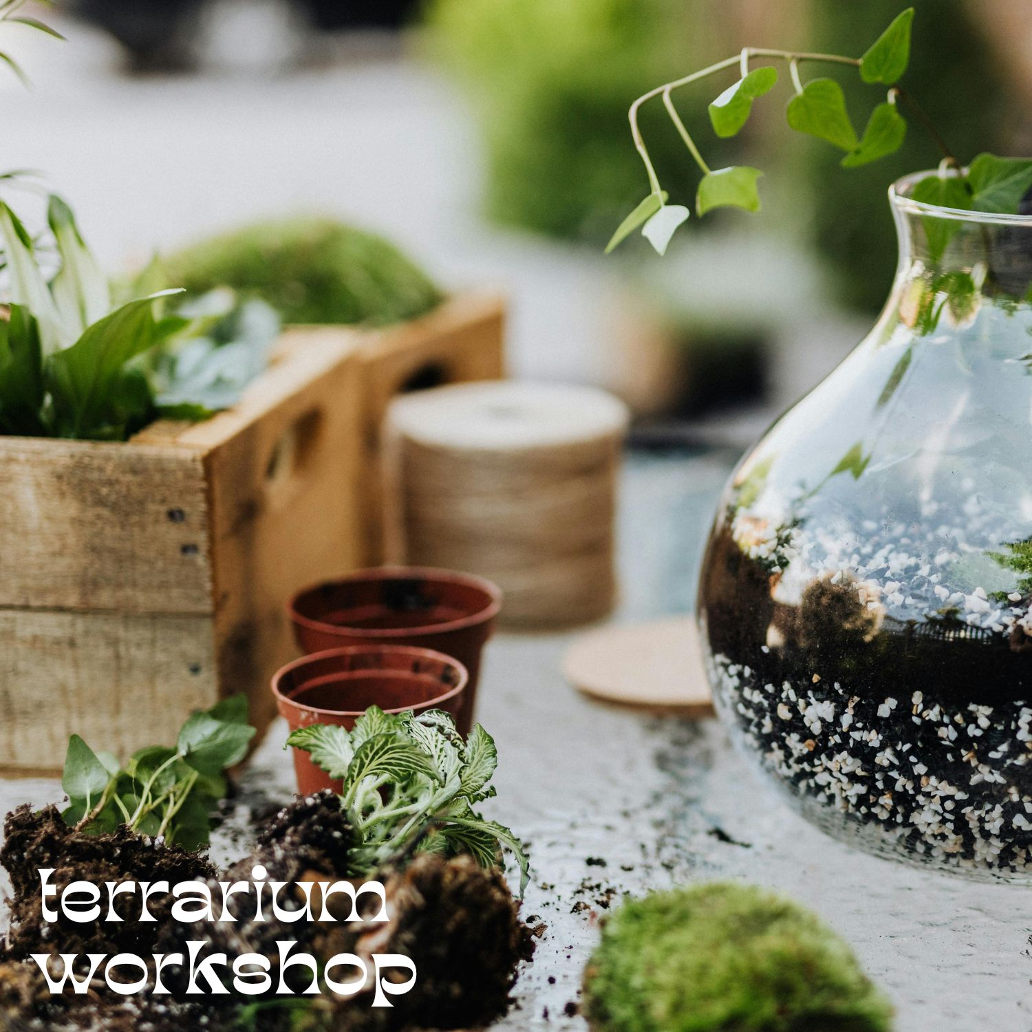 terrarium workshop